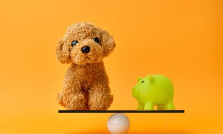 Assurance pour animaux de compagnie en Belgique