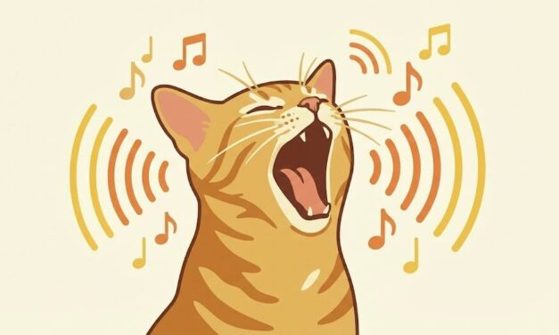 Pourquoi mon chat miaule sans cesse : causes et solutions